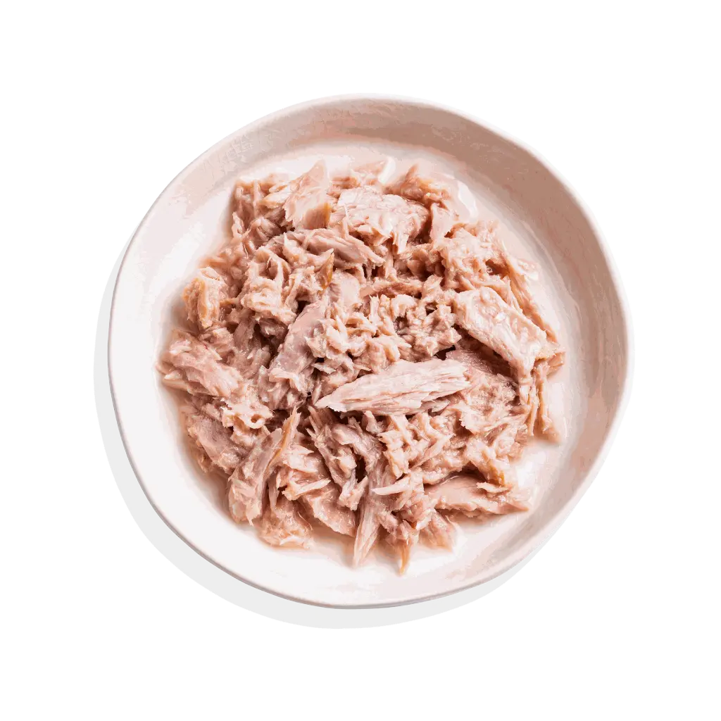 TOP_SHOT_-_FILLETS_-_TUNA.webp