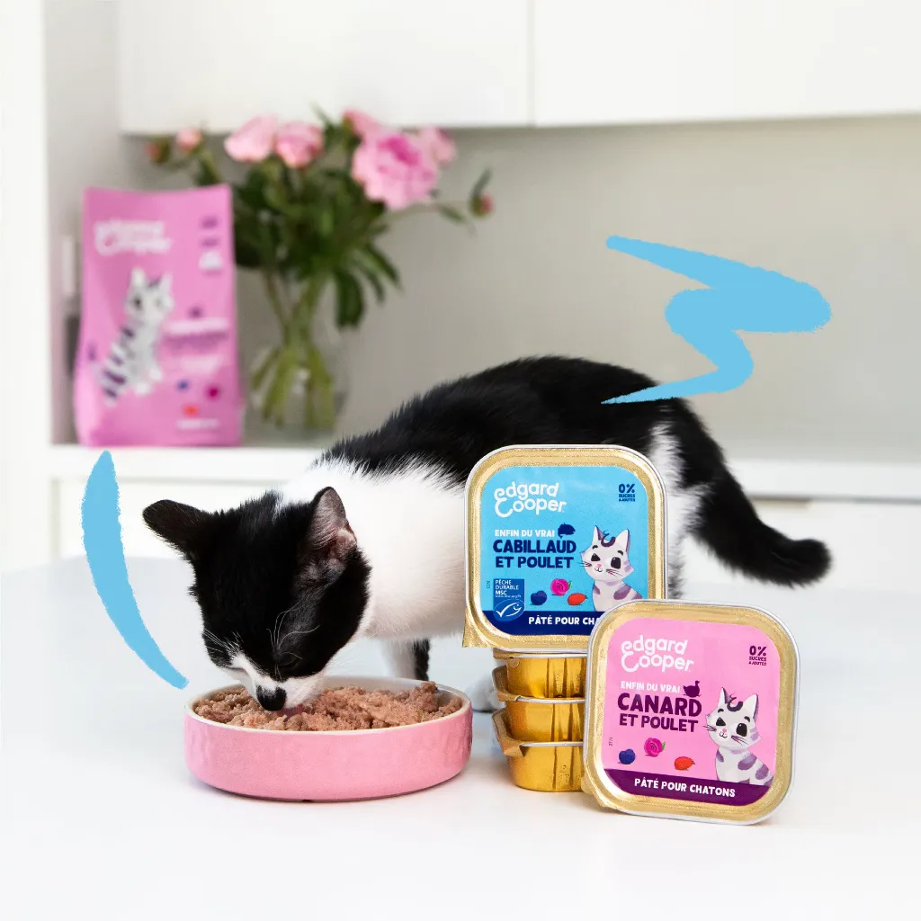 Pâté moelleuse pour chaton au canard et au poulet (85 g) - Edgard & Cooper