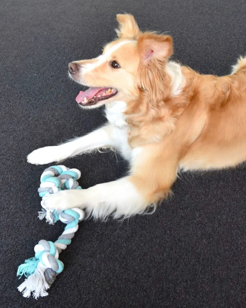 Produit - 2026-01-27T104454.857.webp