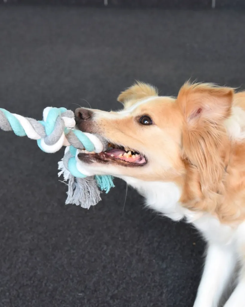 Produit - 2026-01-27T104518.414.webp