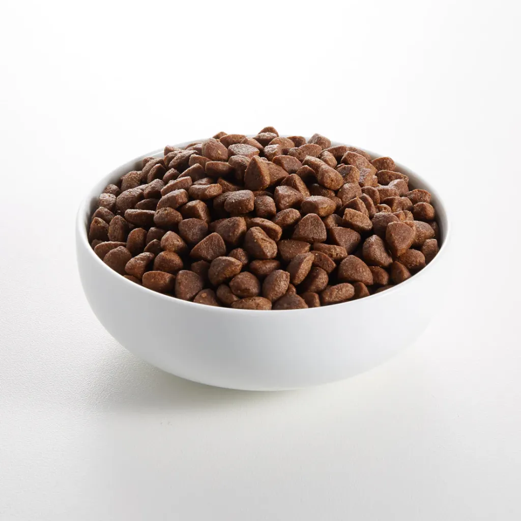 CatAdultChickenDuckSquare (1).webp