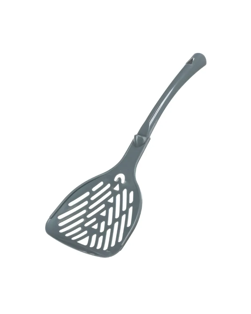 Copie de Publications (19).webp