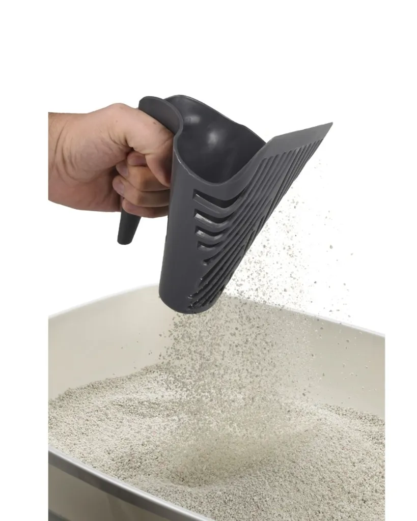 Copie de Publications (24).webp