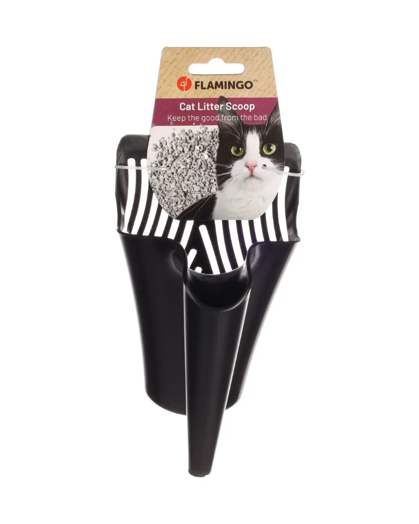 Copie de Publications (25).webp