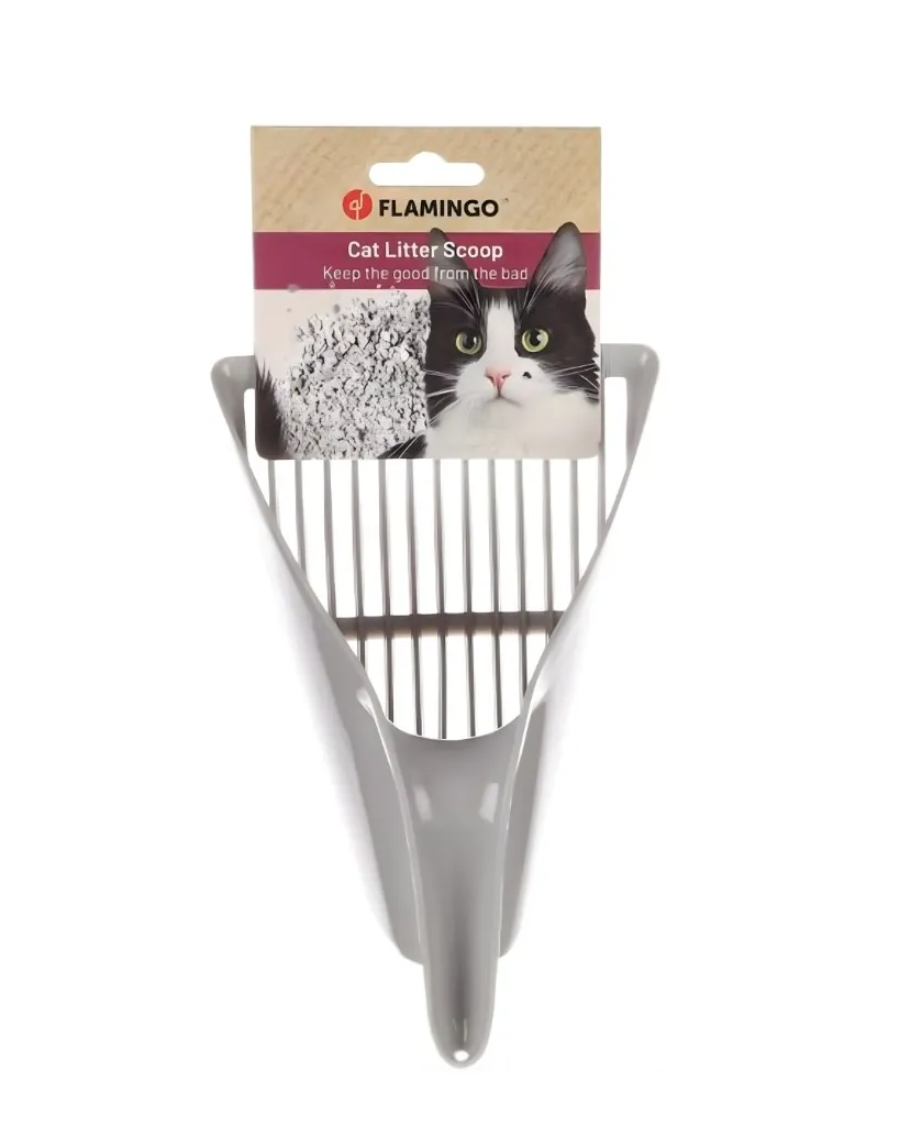 Copie de Publications (28).webp