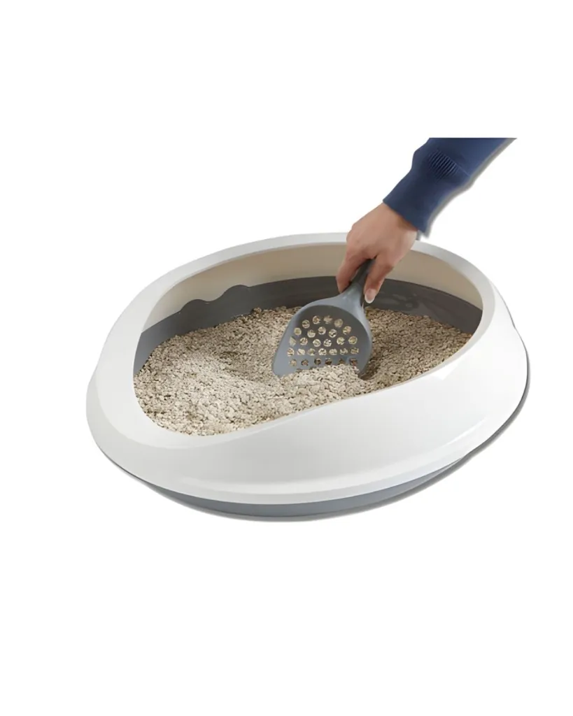 Copie de Publications (33).webp