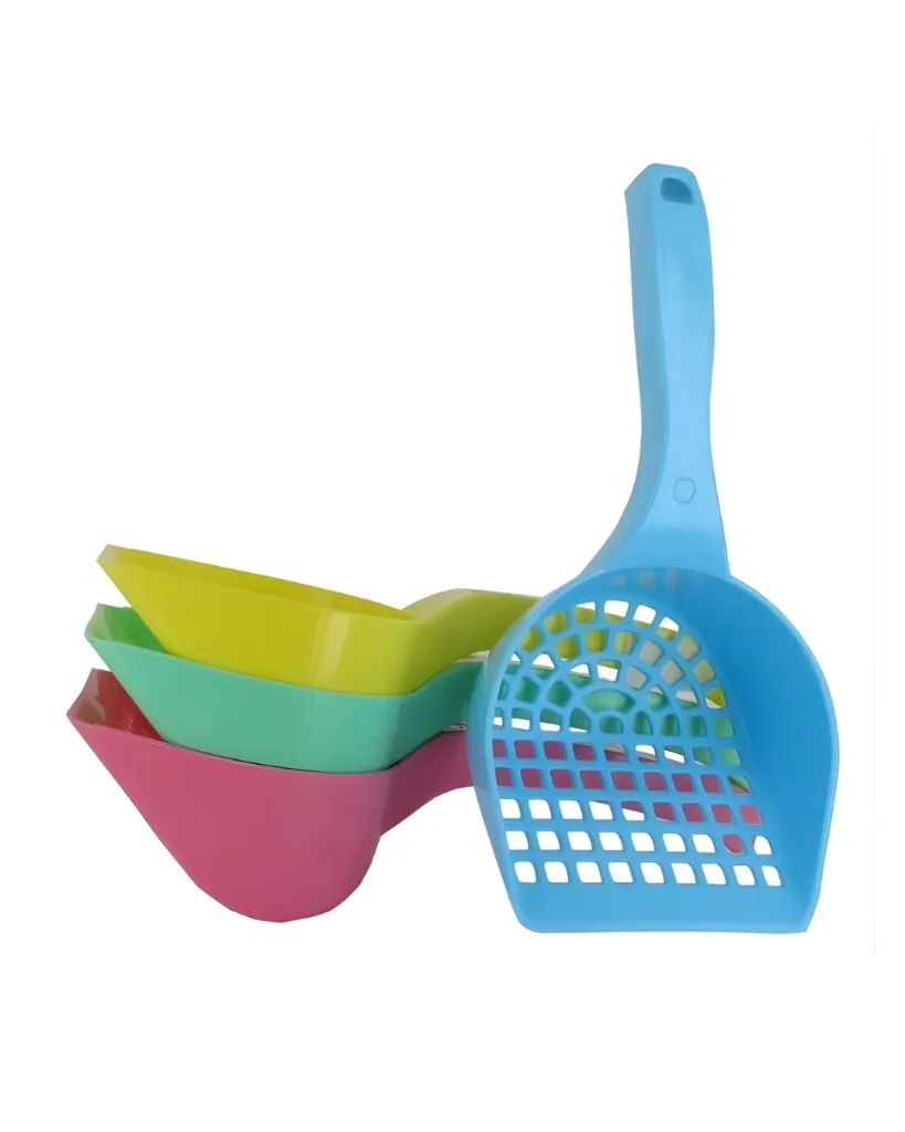 Copie de Publications (35).webp