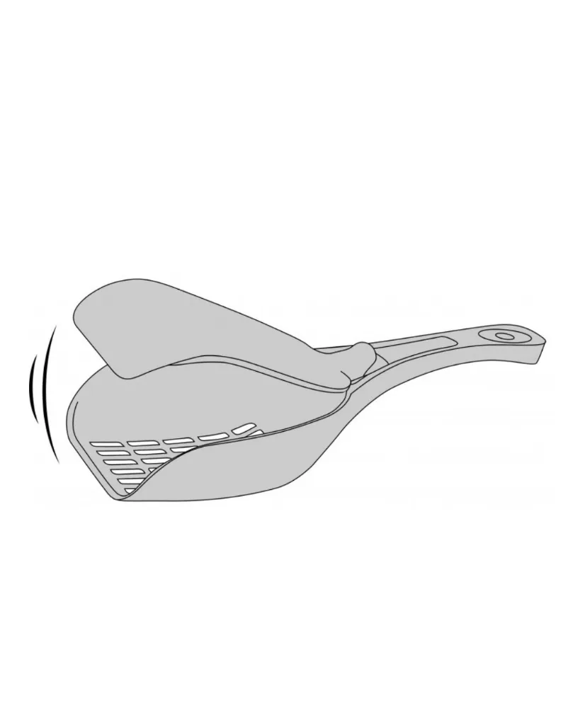 Copie de Publications (42).webp