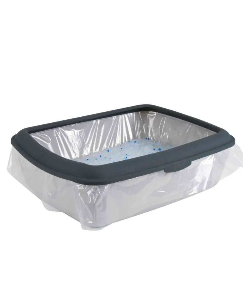 Copie de Publications (84).webp