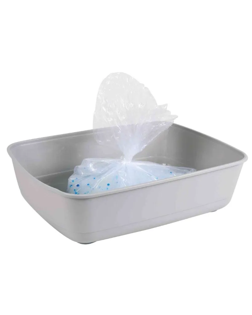 Copie de Publications (85).webp