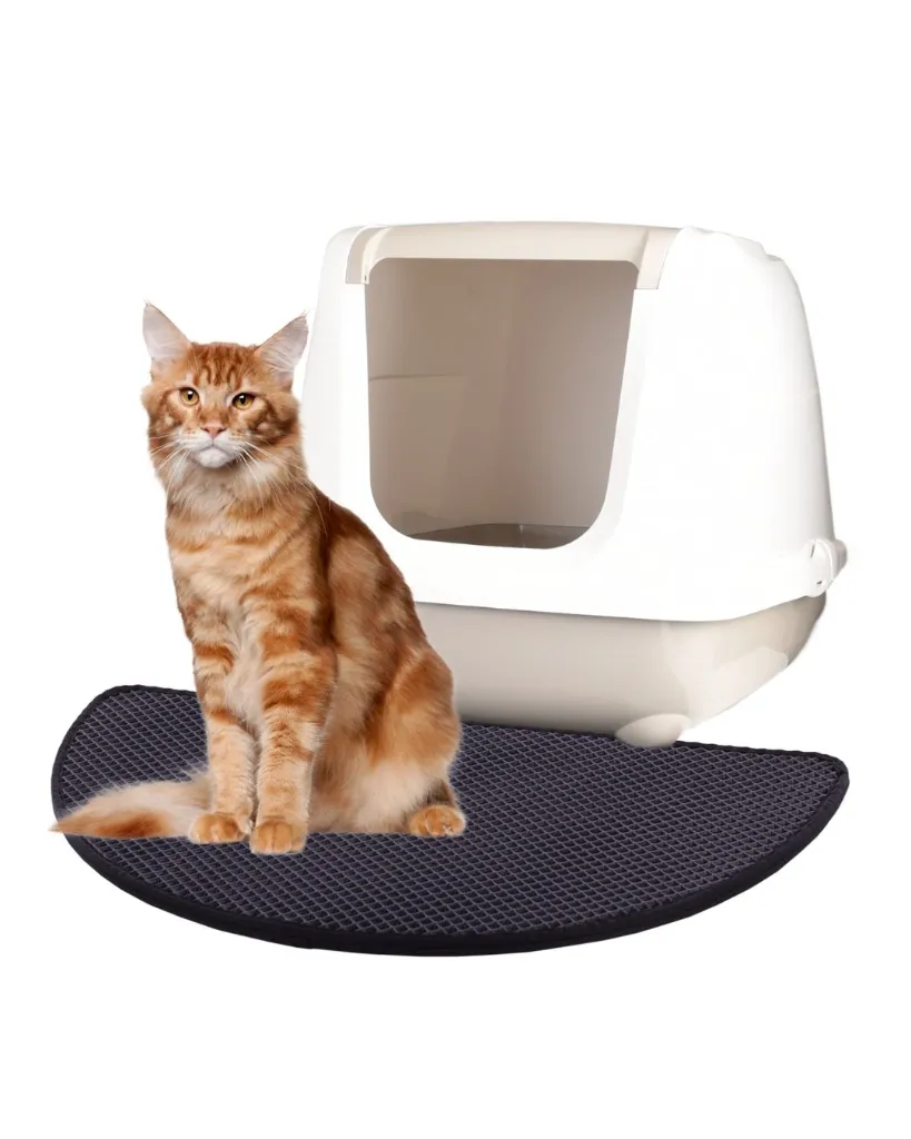 Copie de Publications (90).webp