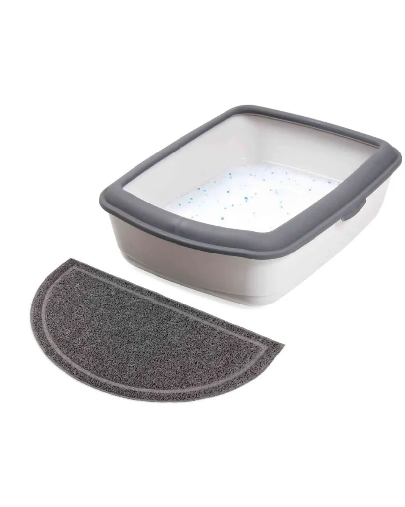 Copie de Publications - 2026-02-02T150309.506.webp