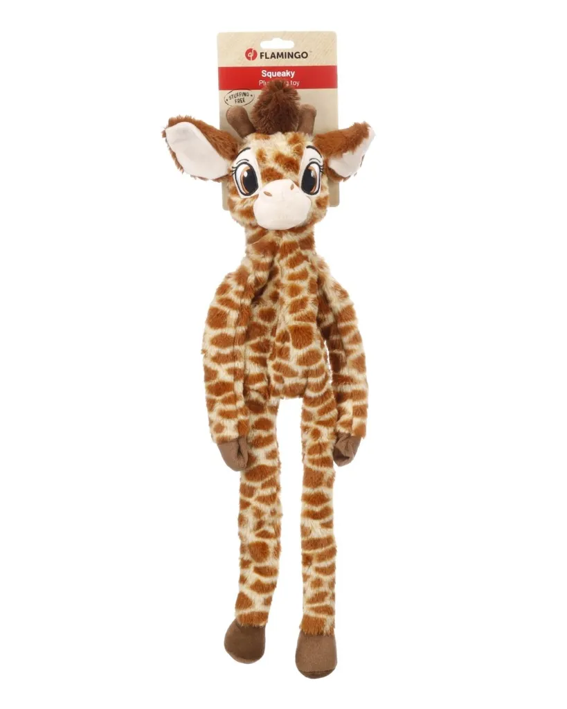 Copie de Publications - 2026-02-06T095751.824.webp