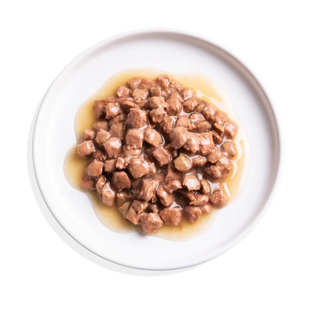 Morceaux en sauce pour chat senior au poulet et à la dinde (85 g) - Edgard & Cooper
