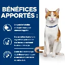 chat-on-care (2).webp