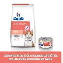 chat-on-care (1).webp