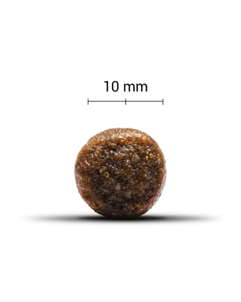 Copie de Publications - 2026-02-09T095203.906.webp