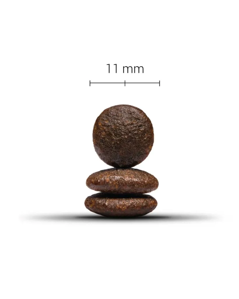 Copie de Publications - 2026-02-09T114856.272.webp