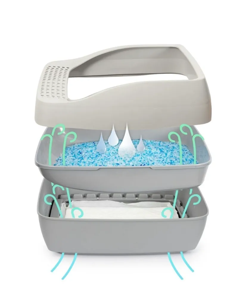 Produit - 2026-02-12T152838.758.webp