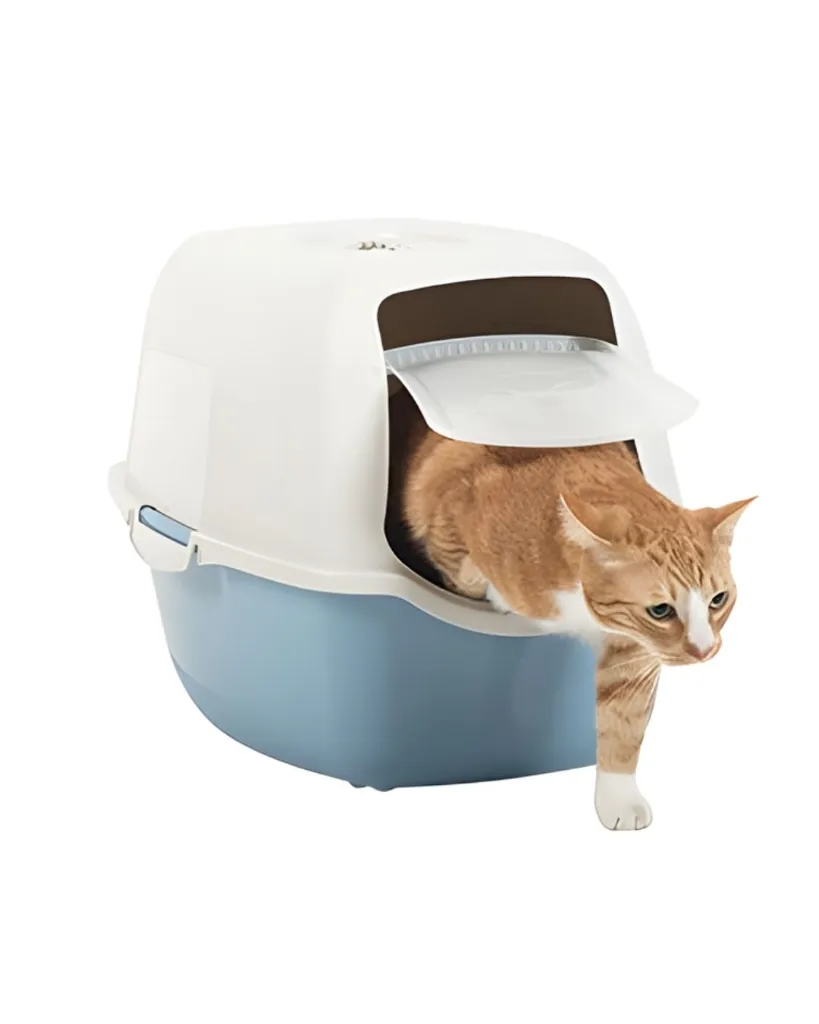 Produit - 2026-02-16T114812.973.webp