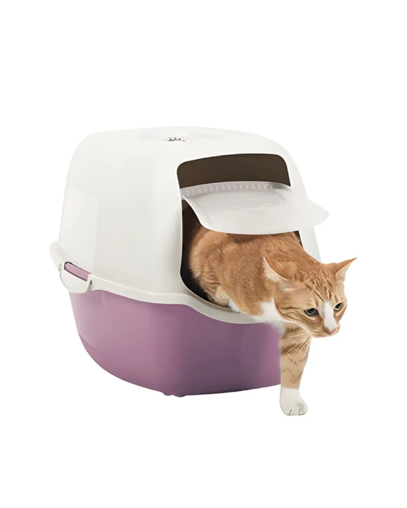 Produit - 2026-02-16T140654.801.webp