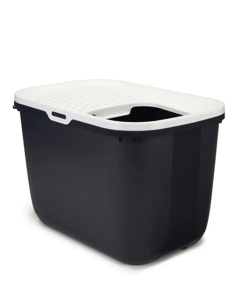 Produit - 2026-02-17T115543.057.webp