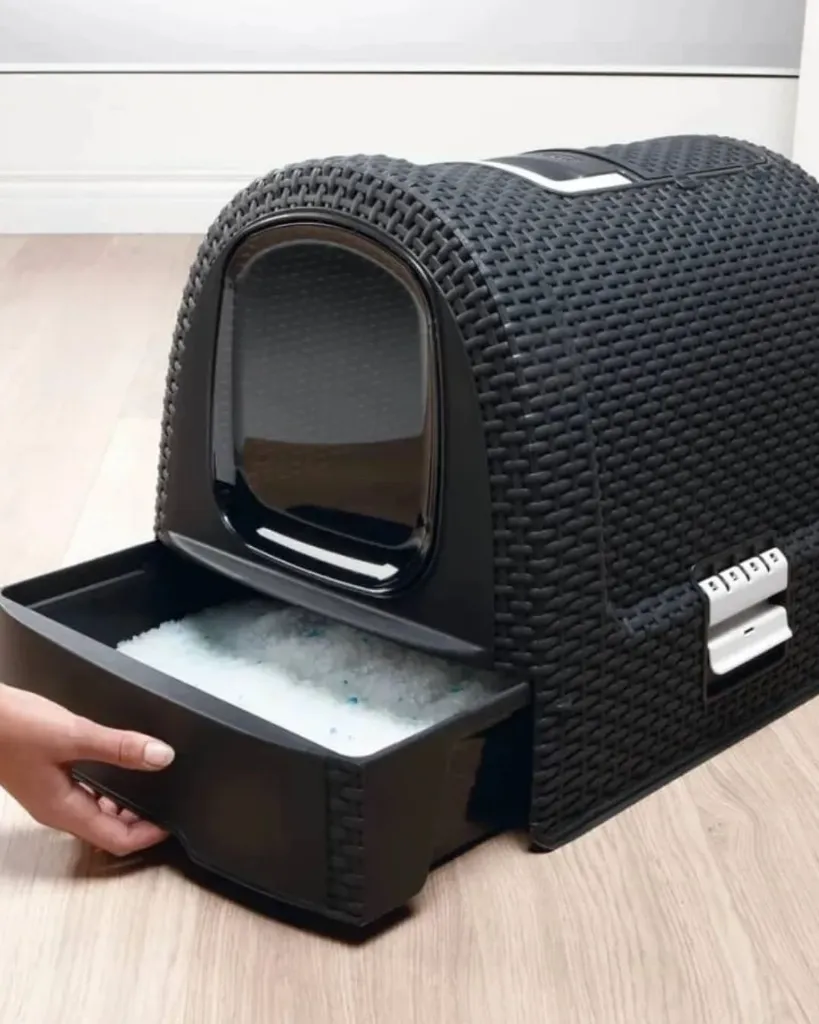 Produit - 2026-02-17T155638.223.webp