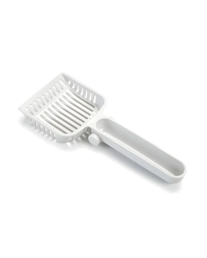 Produit - 2026-02-17T155746.568.webp