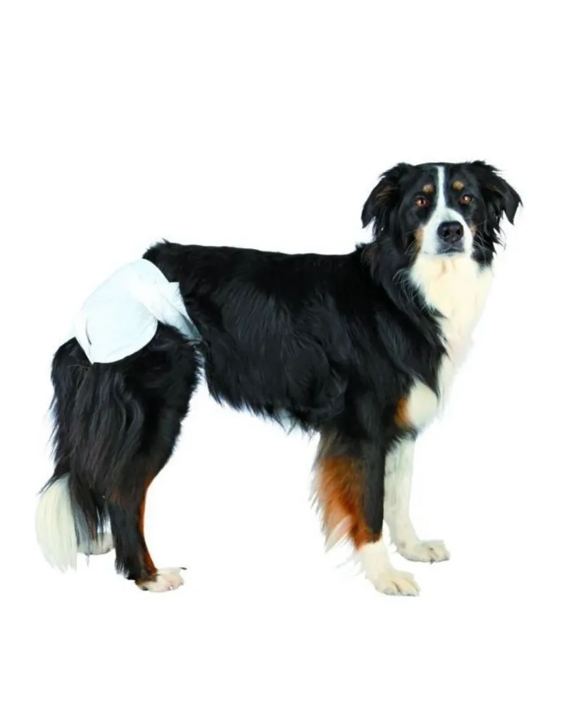 Produit - 2026-02-19T095129.222.webp