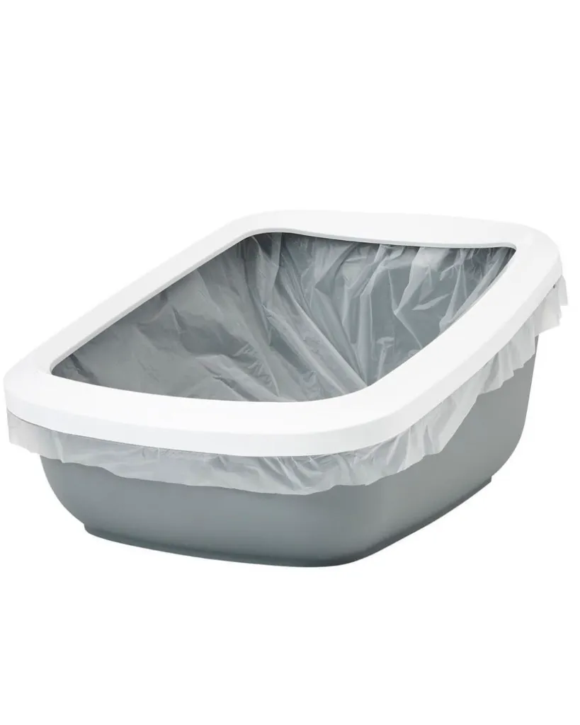 Copie de Publications - 2026-02-20T095910.537.webp