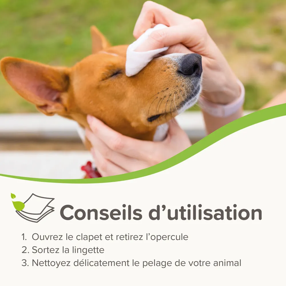 1000055_Ecommerce_BIO_Pet_Wipes_Universal_FR_2025_05.webp