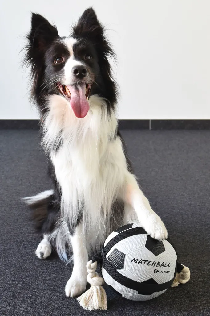 Ballon pour chien "Matchball" (19 cm) - Flamingo
