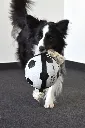Ballon pour chien "Matchball" (19 cm) - Flamingo