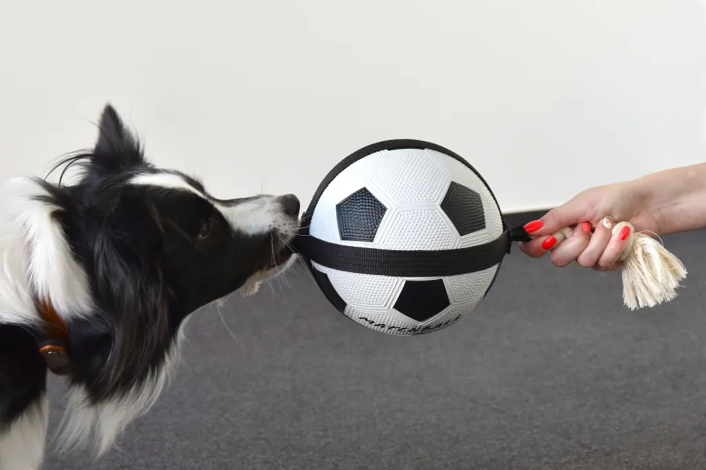 Ballon pour chien "Matchball" (19 cm) - Flamingo
