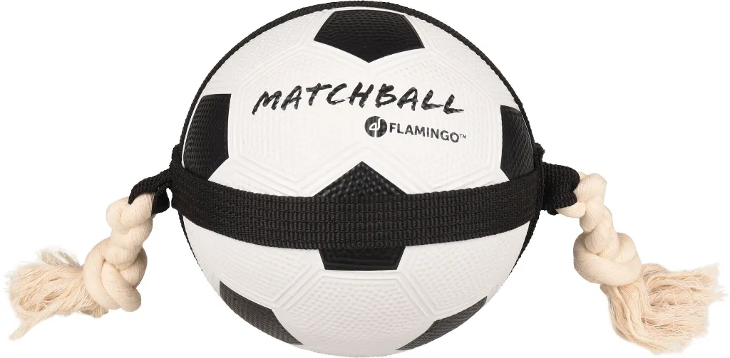 Ballon pour chien "Matchball" (19 cm) - Flamingo