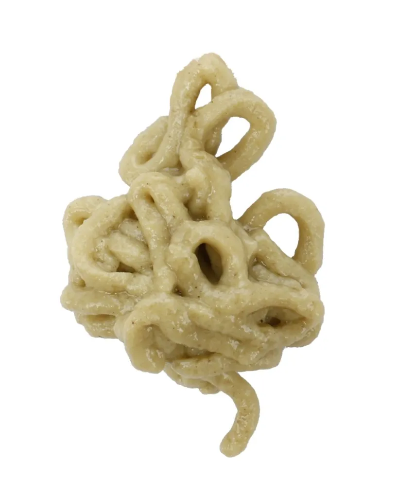 Copie de Publications - 2026-02-27T105000.001.webp