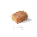 5db53ab0-d1ea-4a80-8e7f-b1ef0011661c_DownloadAsJpg (1).webp