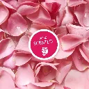 sachets-hygieniques-senteur-rose-m-pets (1).webp