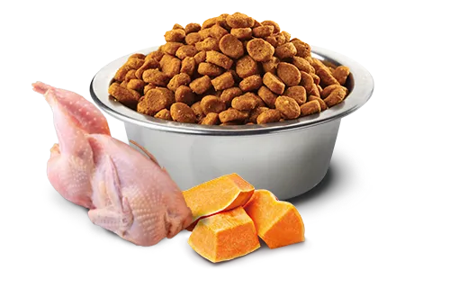 Potiron Caille & Grenade chat adulte (5 kg) - Farmina