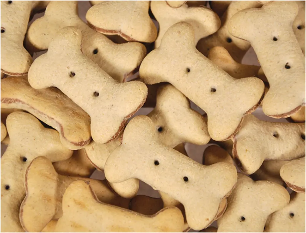 Biscuits Duo Bones (500 g) - Vadigran