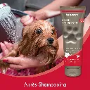 10144_Ecommerce_Premium-Shampoo-Chien_FR_2023-4.webp