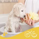 19997_Ecommerce_Basic-Shampoo-Puppy_2023_FR-6.webp