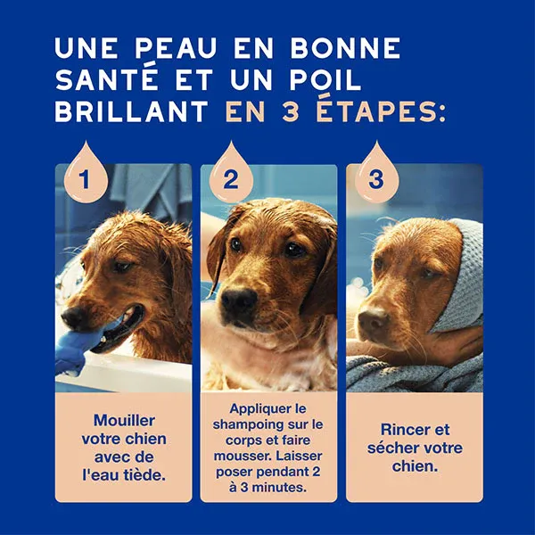 B0F4Y4HG48_FR_DouxoSpa_Shampoo_ShedControl_ATF_PT05.webp