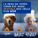 B0F4Y5SPJK_FR_DouxoSpa_Shampoo_Detangling_ATF_PT02 (1).webp