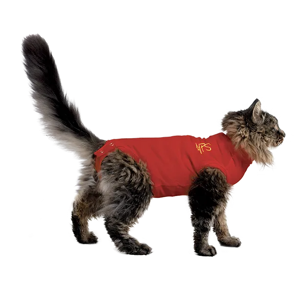 1039350-1 - WEB.webp