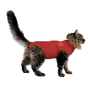 1039350-1 - WEB.webp