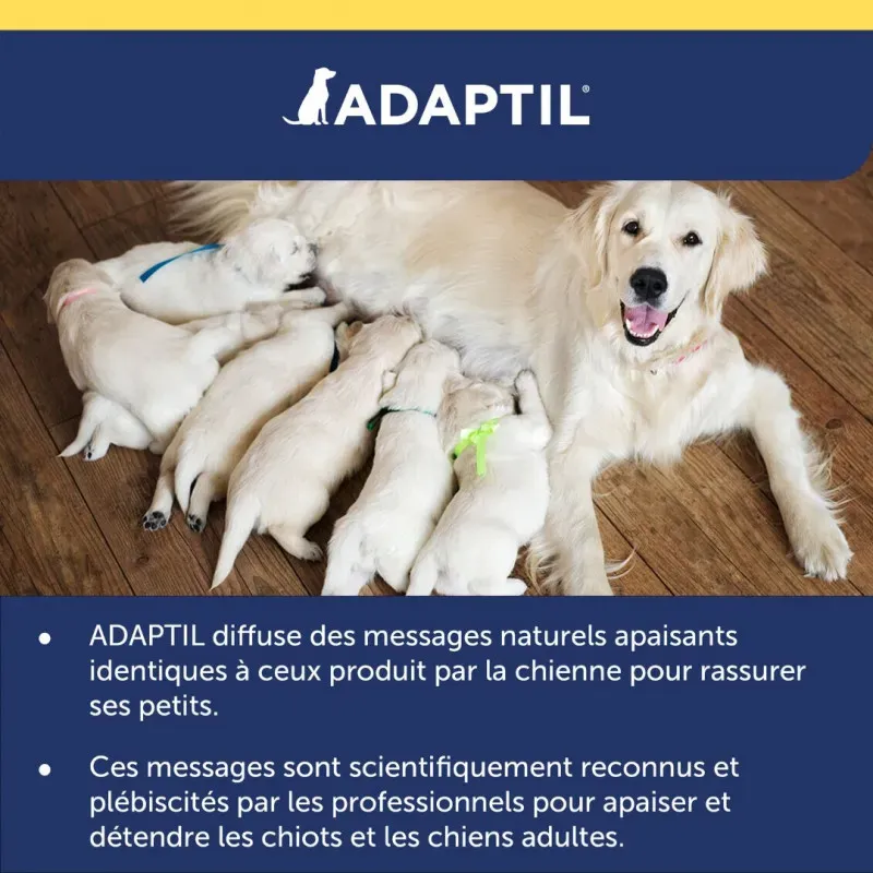 adaptil-spray (7).webp