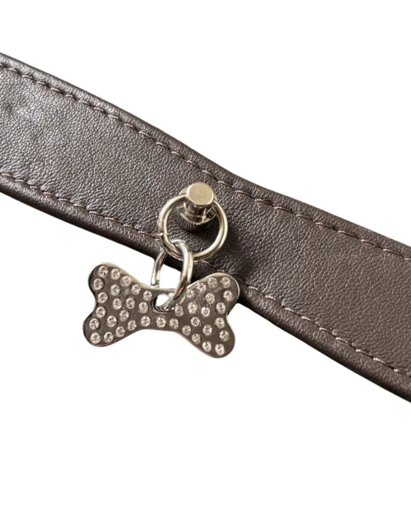 Copie de Publications - 2026-03-30T112658.448.webp