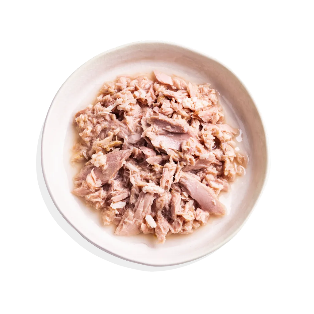 TOP_SHOT_-_FILLETS_-_TUNA___CHICKEN.webp