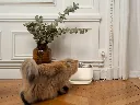 Fontaine à eau avec fil (crème) - Bandit